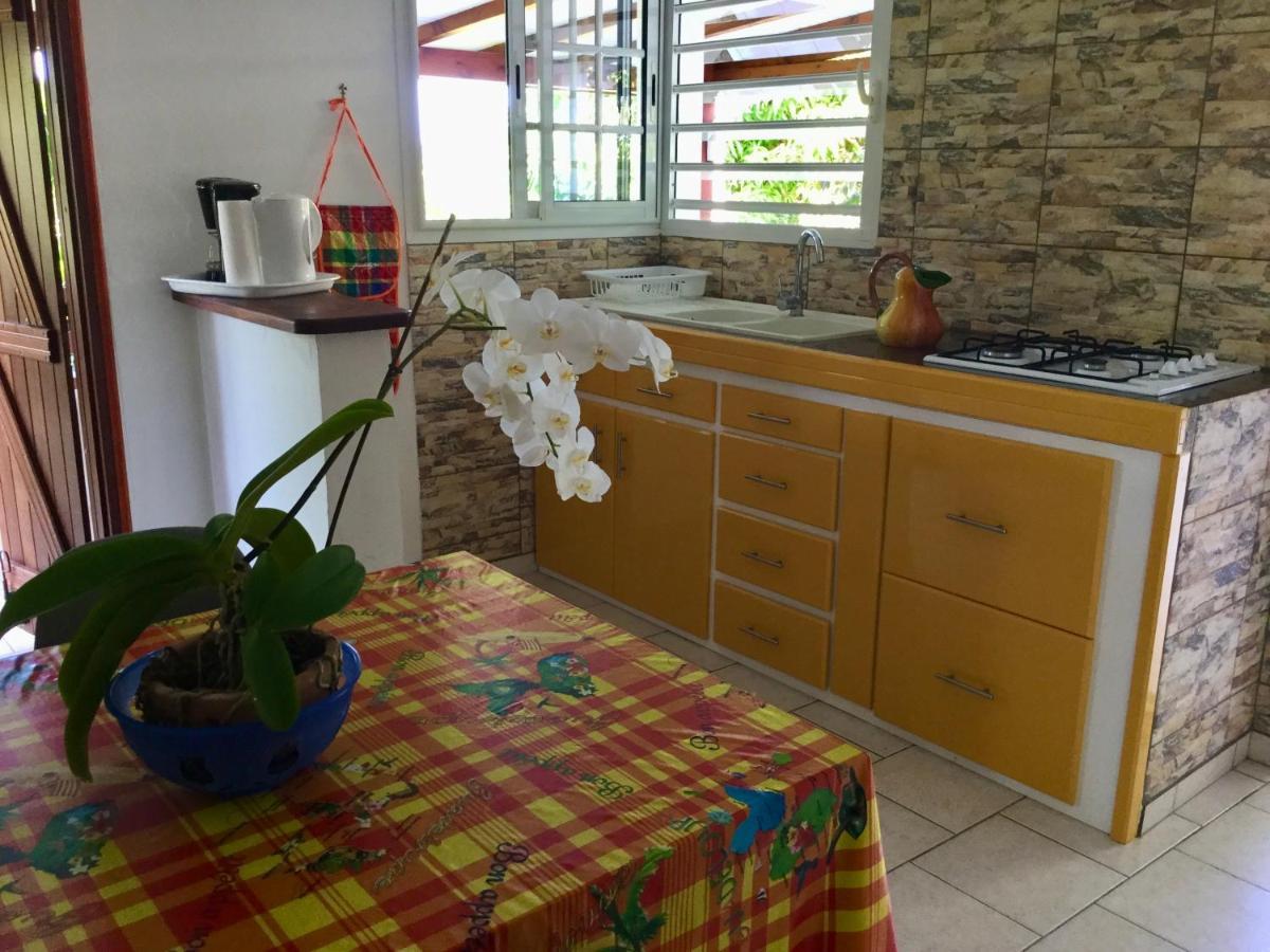 הוילה בוויאנט Chez Jocelyne Pres Des Sources Chaudes מראה חיצוני תמונה